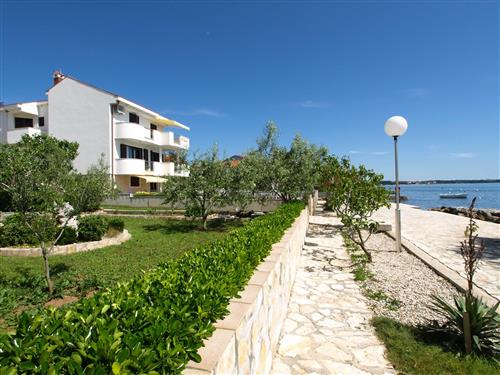 Ferieleilighet - 4 personer -  - Zadar - 23000