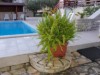 Bilde 18