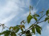 Billede 80 - Ude