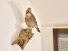 Bild 31 - Innen
