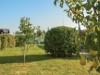 Bild 19