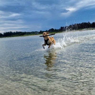 Bild 4