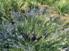 Bild 32 - Aussen