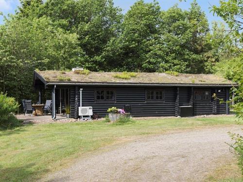 Ferienhaus - 4 Personen -  - Nautrupvej - Nautrup - 7870 - Roslev