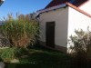 Bilde 5