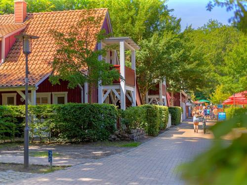 Feriehus / leilighet - 4 personer -  - Uferpromenade - 17459 - Ückeritz