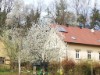 Bild 81