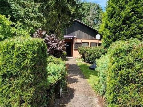Holiday home - 4 persons -  - Höhenweg - 54424 - Thalfang