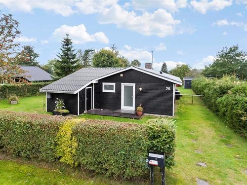 Ferienhaus - 6 Personen -  - Stjernevej - Vejlby Fed - 5500 - Middelfart