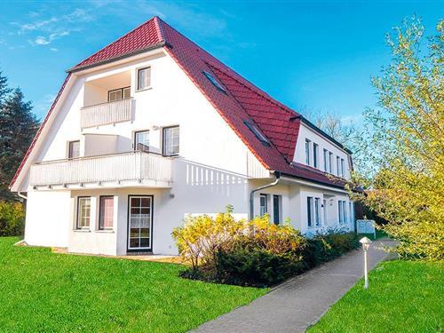 Ferienhaus - 4 Personen -  - Waldstr. - 18375 - Prerow