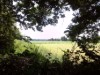 Image 23