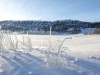 Bild 18