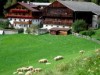 Bilde 4