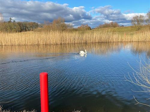 Feriehus - 5 personer -  - Göhren-Lebbin - 17213