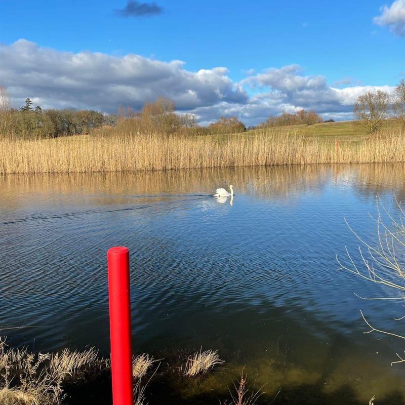 Sommerhus - 5 personer -  - Göhren-Lebbin - 17213