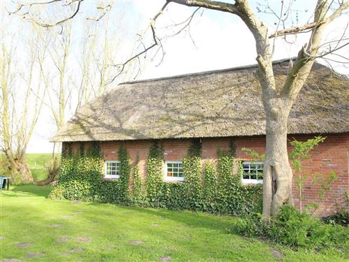 Holiday home - 4 persons -  - Diekstraße - 25870 - Norderfriedrichskoog