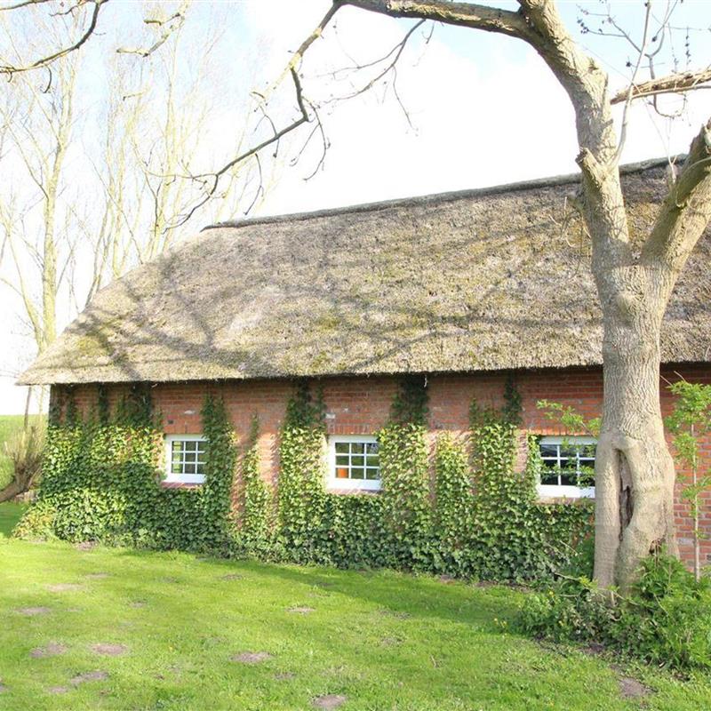 Sommerhus - 4 personer -  - Diekstraße - 25870 - Norderfriedrichskoog