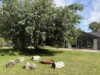 Billede 24 - Grund