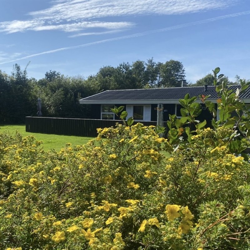 Ferienhaus - 6 Personen -  - Fyrrelunden - Jegum - 6840 - Oksböl