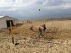 Bild 16