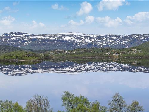 Feriehus / leilighet - 6 personer -  - Vågslidtunet - Haukelifjell - 3895 - Vågslid