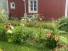 Bild 16 - Aussen