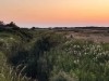 Billede 42 - Udsigt