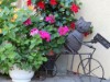 Bild 12