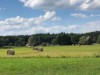 Bild 17
