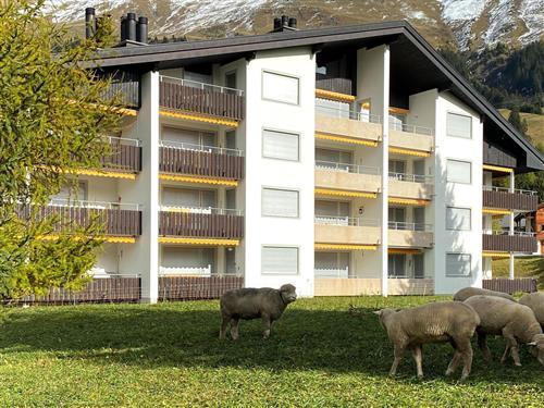 Semesterhus/Semesterlägenhet - 4 personer -  - Oberbergstrasse - 7076 - Parpan