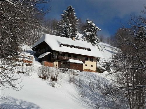 Ferienhaus - 4 Personen -  - Rütte - 79695 - Wieden