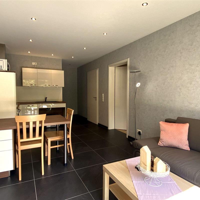 Ferielejlighed - 2 personer -  - Nideggen - 52385