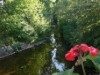 Bilde 5