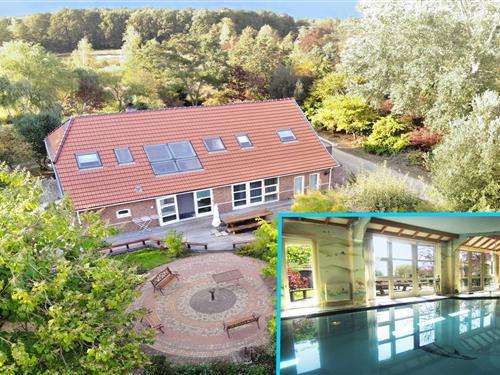 Sommerhus - 17 personer -  - Rijsdammerweg - 9551 TD - Sellingen