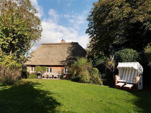 Fritidshus - 7 personer -  - Hohe Weide - 23738 - Riepsdorf