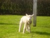 Bild 16