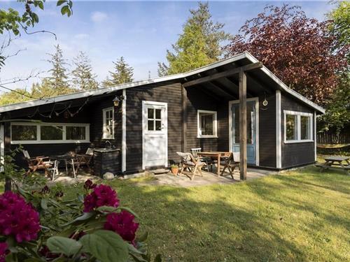 Ferienhaus - 6 Personen -  - Sandvej - Nakke Lyng - 4500 - Nykøbing Sj