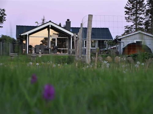 Sommerhus - 6 personer -  - To-Bjerg - 4300 - Holbæk