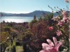 Image 28