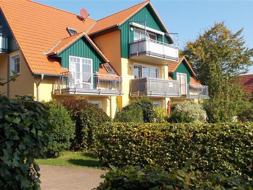 Holiday Home/Apartment - 2 persons -  - Friedenstrasse - 18374 - Seeheilbad Zingst