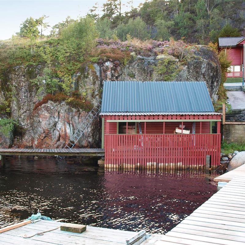  - 10 personer -  - Træet - 5986 - Hosteland