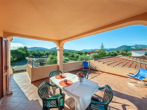 Ferielejlighed - 6 personer -  - Via Sicilia snc Apt. - San Teodoro - 08020 - San Teodoro Ot