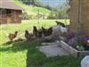 Image 32 - Outside