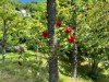 Bild 57 - Aussen