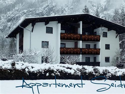 Holiday Home/Apartment - 8 persons -  - Embach - 6320 - Angerberg