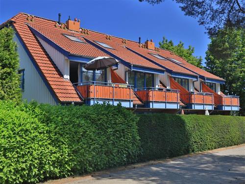 Ferielejlighed - 4 personer -  - Kastanienallee - 23946 - Boltenhagen