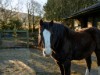 Bild 24 - Ude