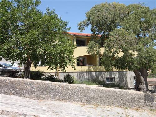 Ferielejlighed - 3 personer -  - Sv. Marije - 23281 - Sali