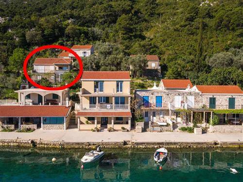 Ferielejlighed - 6 personer -  - Prožurska Luka - 20224 - Maranovici