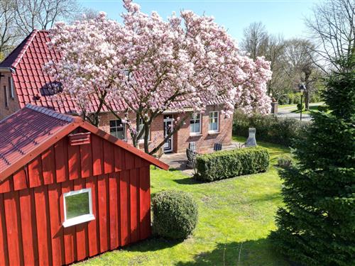 Ferielejlighed - 4 personer -  - Greetsiel - 26736